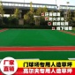 贵州门球场草坪/门球场施工/门球场价格/门球场图片/门球场尺寸/门球场草坪厂家批发